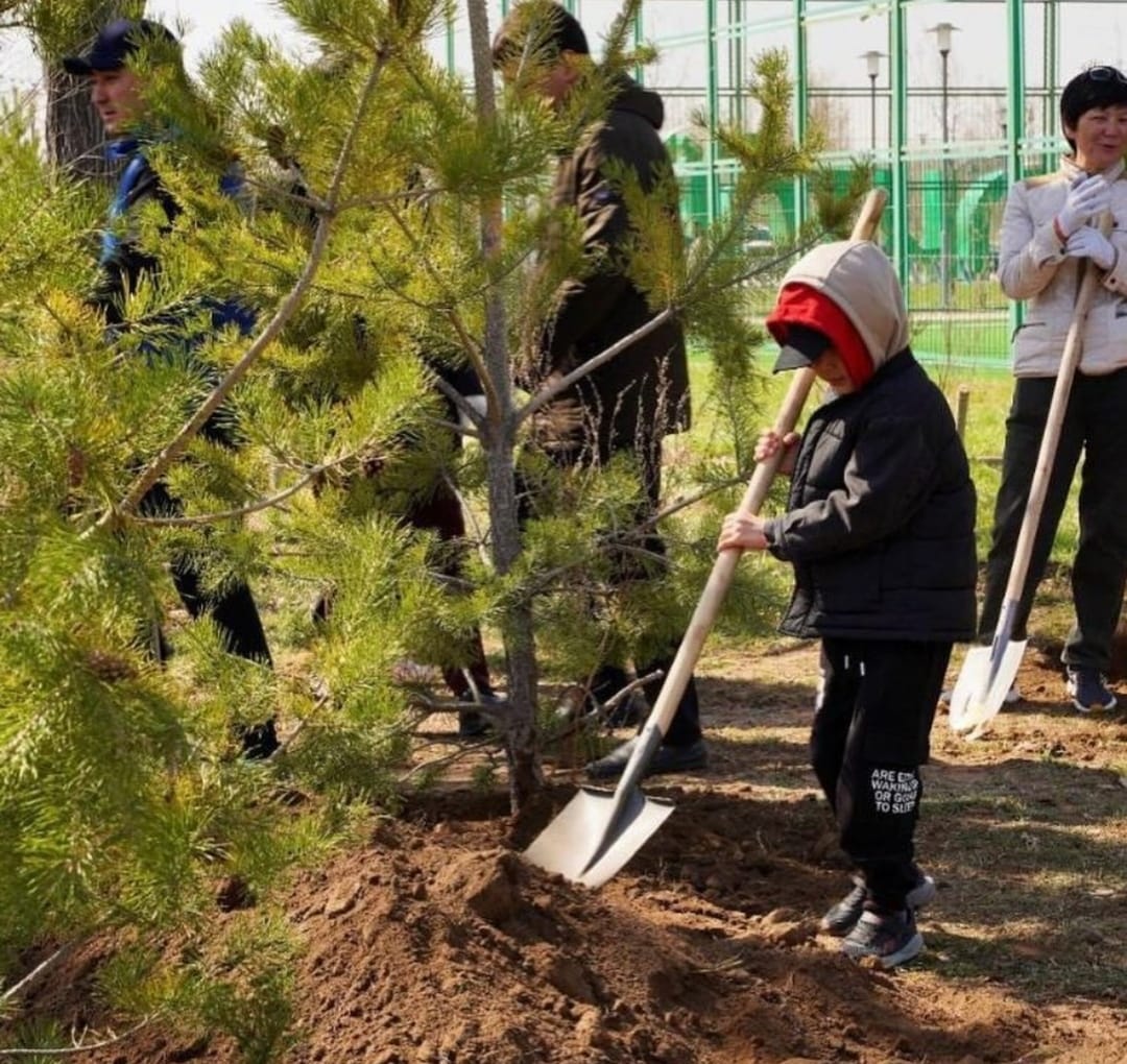 “ТАЗА ҚАЗАҚСТАН” “ЖАСЫЛ АЙМАҚ” экологиялық акциясы күнделікті жалғасуда!